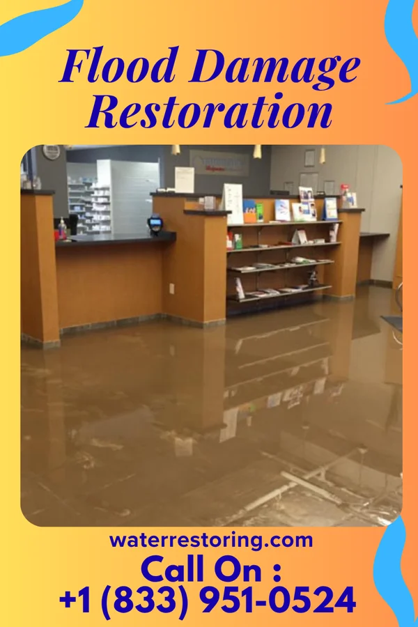 Flood Damage Restoration in Hazardville, CT